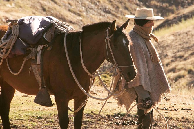 Private Horseback Adventure in the Andes, with Picnic & Wine - What the price means at $278.90