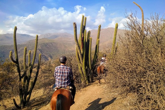 Private Horseback Adventure in the Andes, with Picnic & Wine - Practical advice for a smoother day