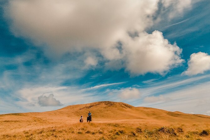 Private Horseback Riding on Easter Island - Meeting the horses and learning the basics