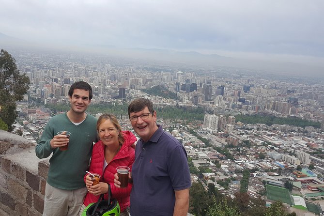 Private Layover: Full-Day Santiago City Tour with Airport Transfer - Mercado Central: seafood, produce, and a quick taste of daily life