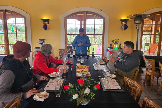 Private Maipo Valley Wine Experience: 2 Premium Wineries & Lunch - How good is the $290 value?