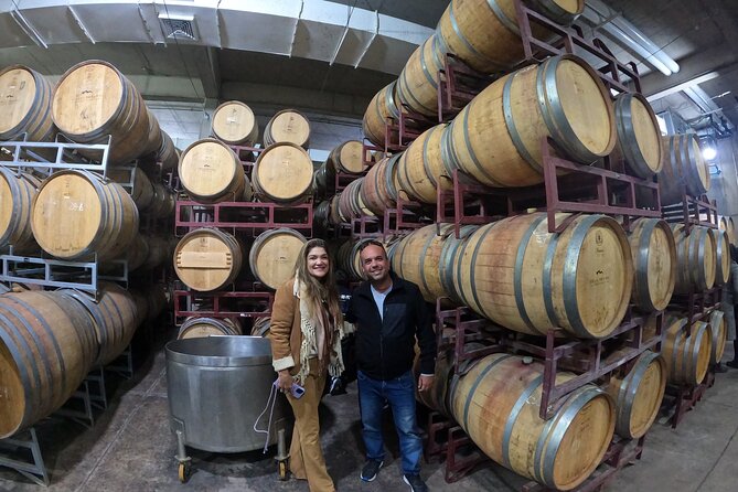 Private Maipo Valley Wine Experience: 2 Premium Wineries & Lunch - Timing, comfort, and practical details