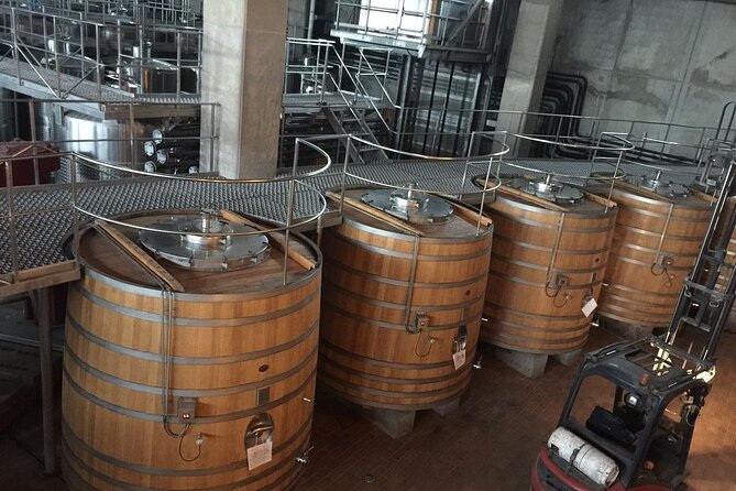 Private Montes Winery (7th World Best Wine) & Transfer to Hotel - The return to Santiago takes about two hours