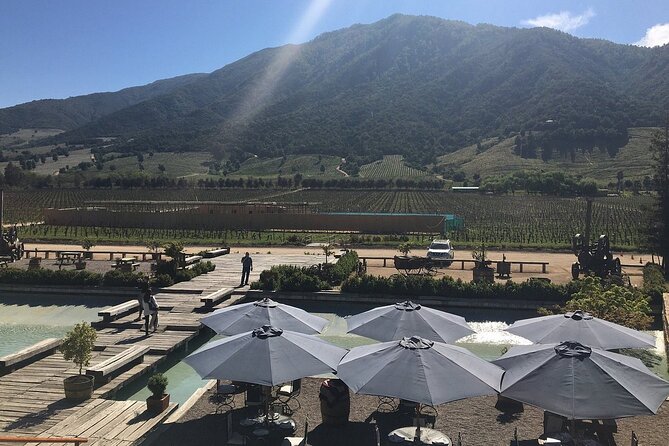 Private Montes Winery (7th World Best Wine) & Transfer to Hotel - Is $320 per person a fair price?