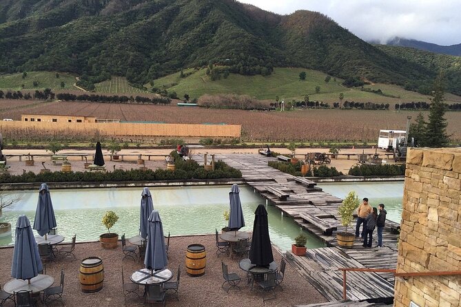 Private Montes Winery (7th World Best Wine) & Transfer to Hotel - Who will get the most from this private visit?