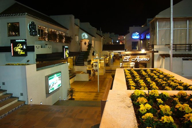 Private Night City Tour with San Cristobal Hill And Dinner Show - Who should book this Santiago evening?
