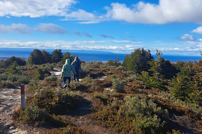 Private Patagonian Forest Hike in Punta Arenas: 4 Hour - Key things to know before you book