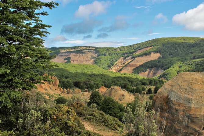 Private Patagonian Forest Hike in Punta Arenas: 8 Hour - Why this private Punta Arenas hike is worth your day