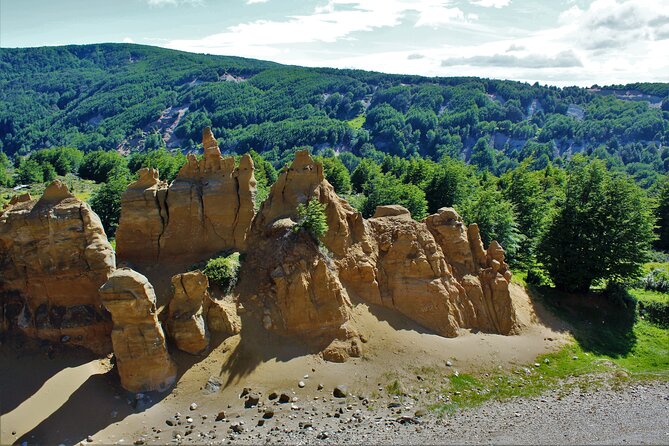 Private Patagonian Forest Hike in Punta Arenas: 8 Hour - What the six-to-seven-hour walk feels like