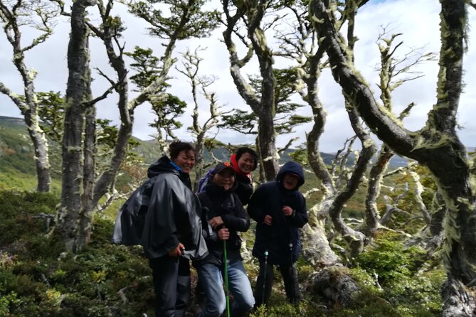 Private Patagonian Forest Hike in Punta Arenas: 8 Hour - Lunch near the port after the hike