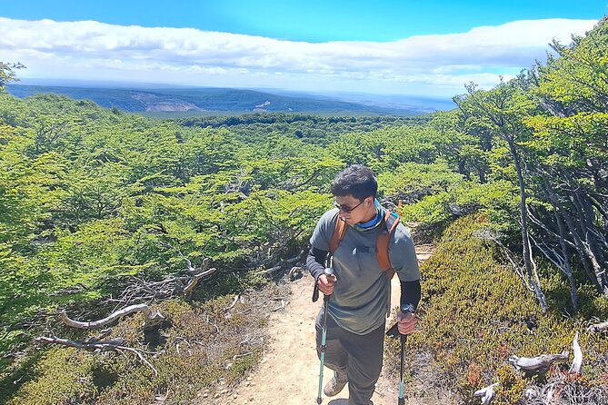 Private Patagonian Forest Hike in Punta Arenas: 8 Hour - What the $350 price really covers