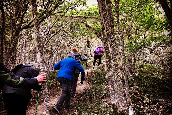 Private Patagonian Forest Hike in Punta Arenas: 8 Hour - Entering Reserva Nacional Magallanes
