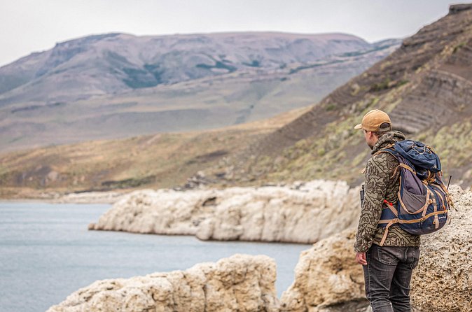 Private Pumas and Wildlife Watching Experience - Lago Sarmiento and the search for open-country wildlife
