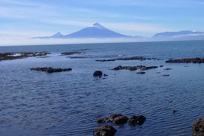 Private Shore Excursion Tour to Puerto Montt, Puerto Varas and Frutillar - Starting in Puerto Montt at Plaza de Armas