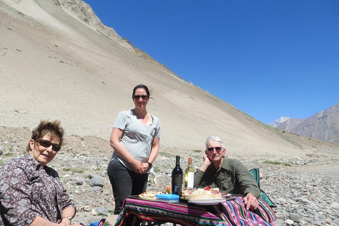 Private Tour: Andes Mountains with Wine Tasting from Santiago - What a private guide adds to the day