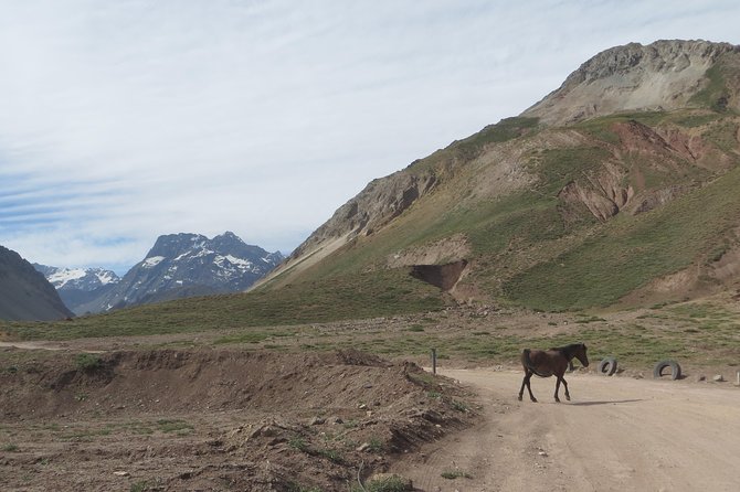 Private Tour: Andes Mountains with Wine Tasting from Santiago - Is the $212 price good value?