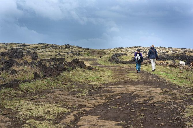 Private Tour: Easter Island Caves - Why these caves add something new to Easter Island