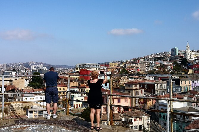 Private tour in Valparaiso from Valparaiso CruiseTerminal to Stgo - Who should book this experience