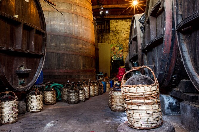 Private Tour: Isla de Maipo For Wine Lovers - Why Maipo Valley makes a good day trip