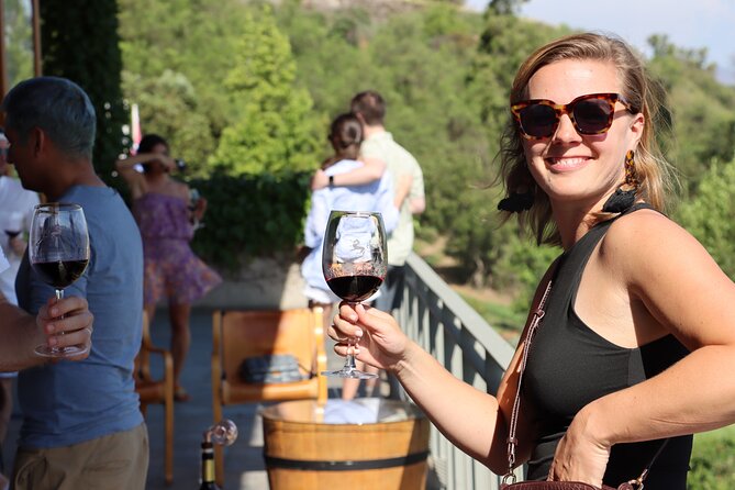 Private Tour: Isla de Maipo For Wine Lovers - A morning pickup from Santiago