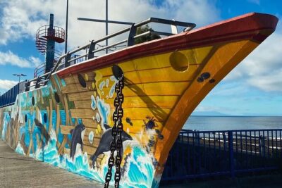 Private Tour of Puerto Montt with Stops