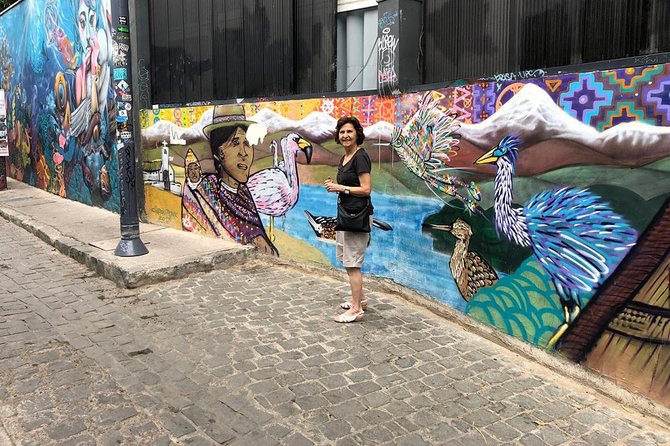 PRIVATE TOUR: Pre-Post Cruise Viña del Mar Valparaiso and Casablanca Winery tour - The port, Plaza Sotomayor, and naval Chile