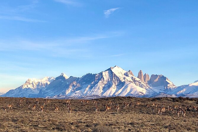 Private Tour Torres del Paine Experience - Salto Grande and the Wind Question