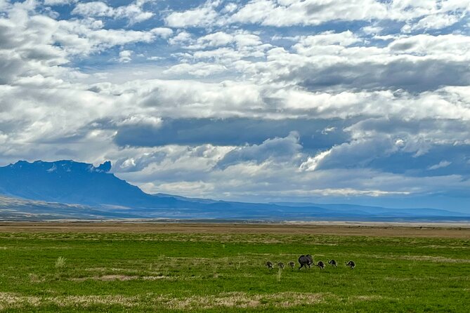 Private Tour Torres del Paine Experience - Why the Private Format Matters