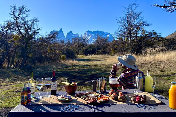 Private Tour Torres del Paine Experience - Grey Glacier From Hotel Lago Grey