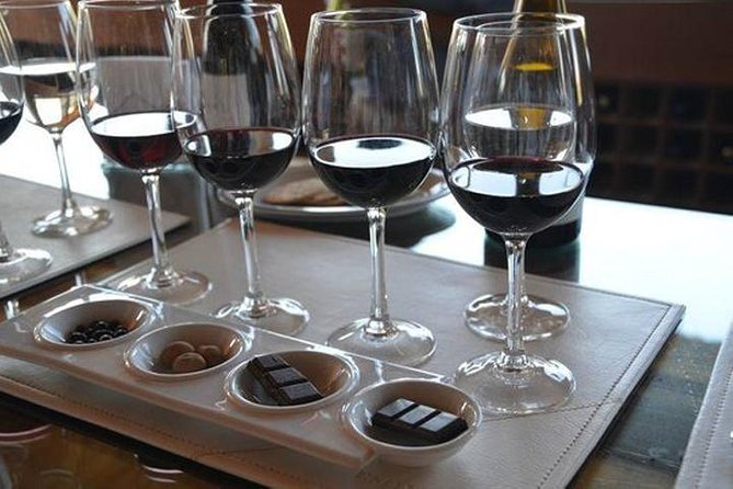 Private Tour: Undurraga Vineyard Experience with Premium Wine Tasting - Walking through the Aliwen corner
