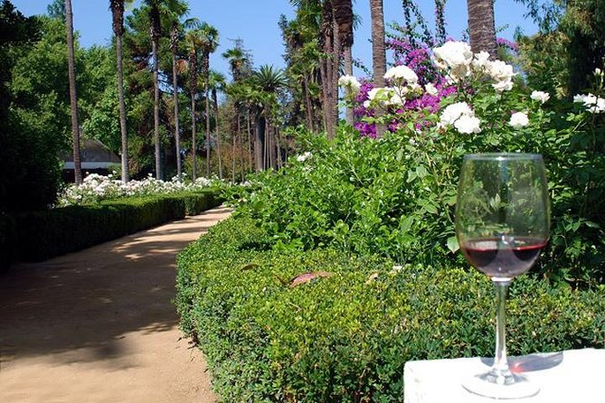 Private Tour: Undurraga Vineyard Experience with Premium Wine Tasting - Who should book this private vineyard visit