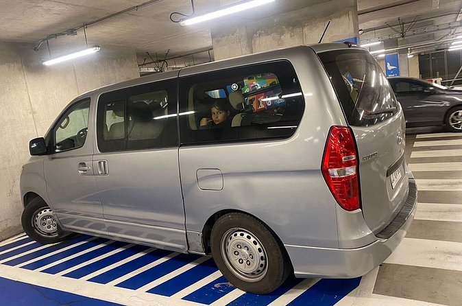 Private Transfer from Airport to Santiago, Chile - Driver service and help with luggage