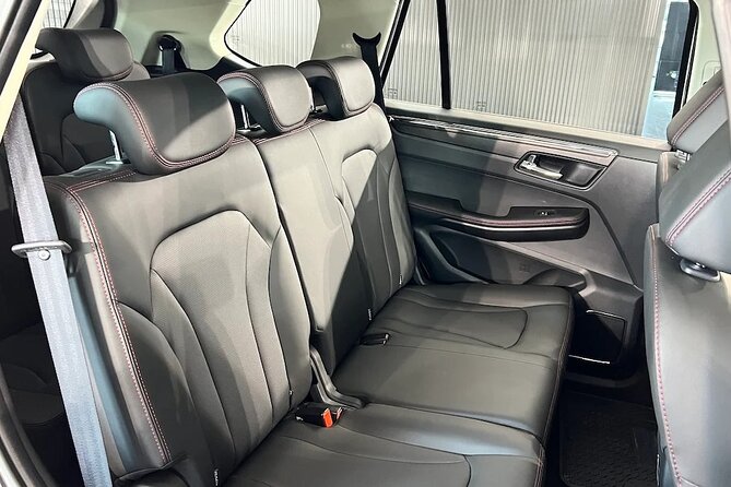 Private Transfer from Santiago to San Antonio Cruise - Valparaiso - Booking dates, cancellation, and weather rules