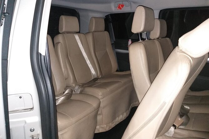 Private Transfer San Antonio port to Hotel or Santiago Airport - What the port pickup should look like