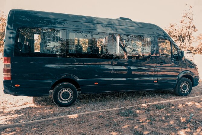 Private Transportation Airport to Santiago For Large Groups - Booking ahead and preparing your group