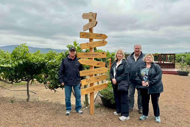 Private Valparaíso Day Tour with Wine or Coast Option - Private Service, Guides, and Transport