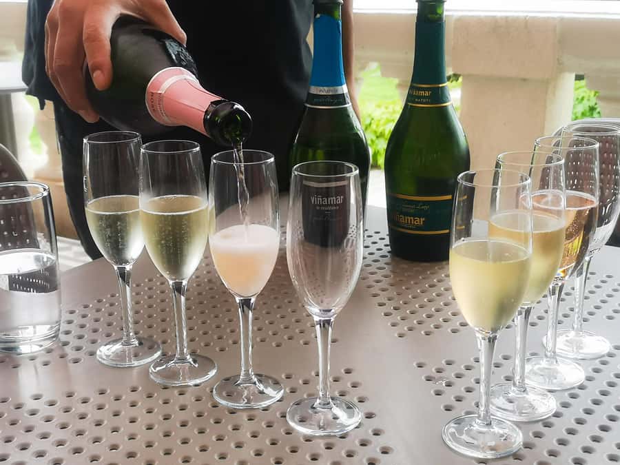 Private Valparaíso, Viña del Mar, Boat Ride & Sparkling Wine - From Santiago to the Casablanca Valley