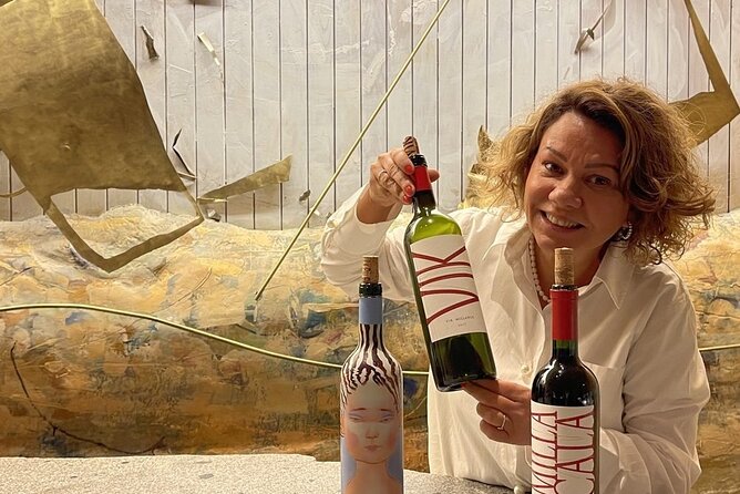 Private VIK Winery (2nd World Best Wine) & Transfer to Hotel - The long ride through the Maipo Valley
