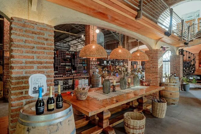 Private Visit Valparaiso, Viña Del Mar & winery From Santiago - Viña del Mar’s Beaches and Public Gardens