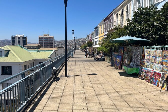 Private Visit Valparaiso, Viña Del Mar & winery From Santiago - Who Will Enjoy This Eight-Hour Route