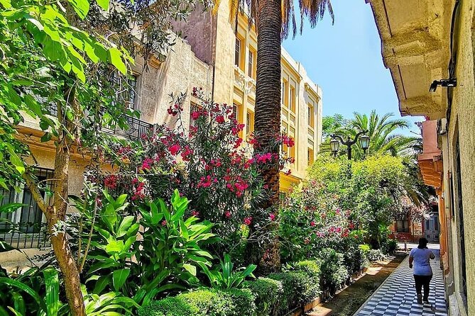 Private Walking Tour to Barrio Yungay Santiago - What the private format adds at $85 per person