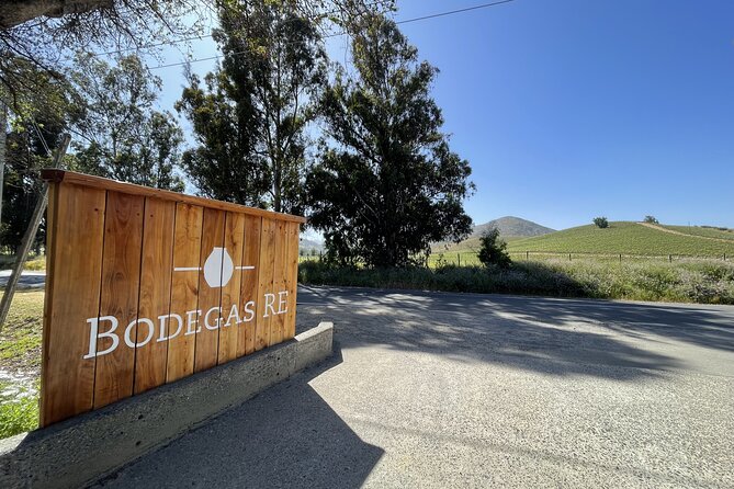 Private wine tour Casablanca valley - Key points to know before you book