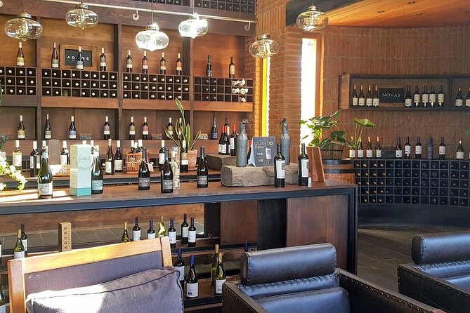 Private Wine Tour in Valparaiso - Key points to know before booking