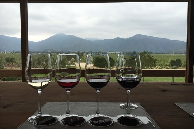 Private Wine Tour in Valparaiso - Why this tour suits cruise passengers