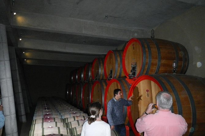 Private Wine Tour in Valparaiso - One valley, several possible winery combinations