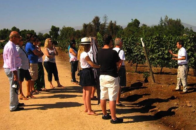 Private Winery Undurraga from Santiago - Entering a winery founded in 1885