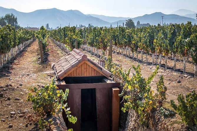 Private Winery Undurraga from Santiago - Timing, comfort, and what to bring