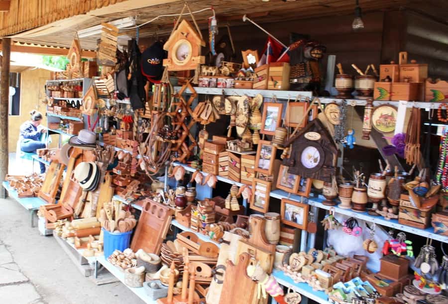 Pucón and Villarrica: Guided Tour with Hotel Pickup - Key points to know before booking