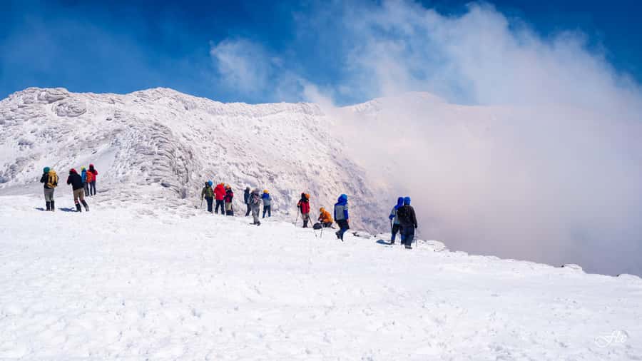 Pucón: Ascent to Villarrica Volcano - Snow Slides or a Walk Back Down