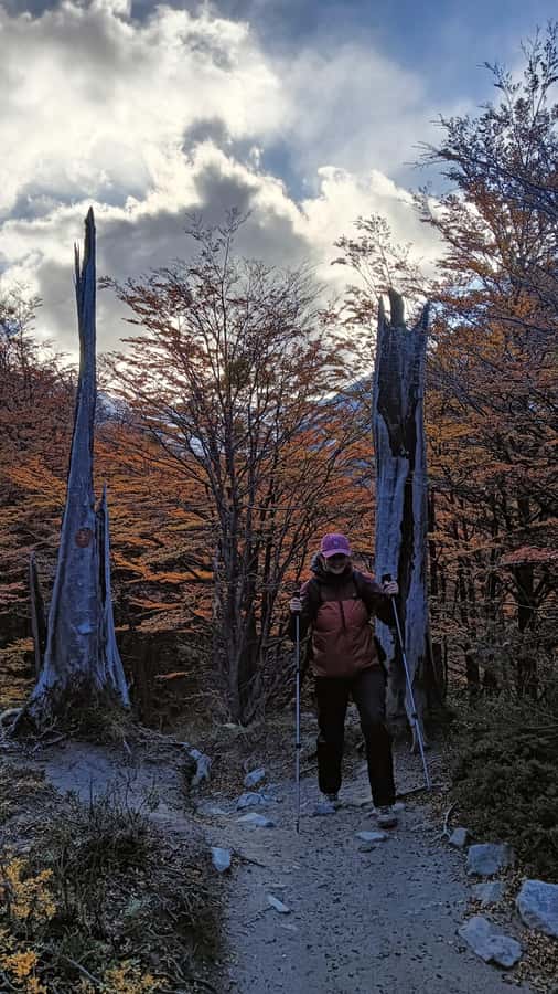 Puerto Natales: Base of the Towers Trekking Experience - The long return and a 9:30 PM arrival
